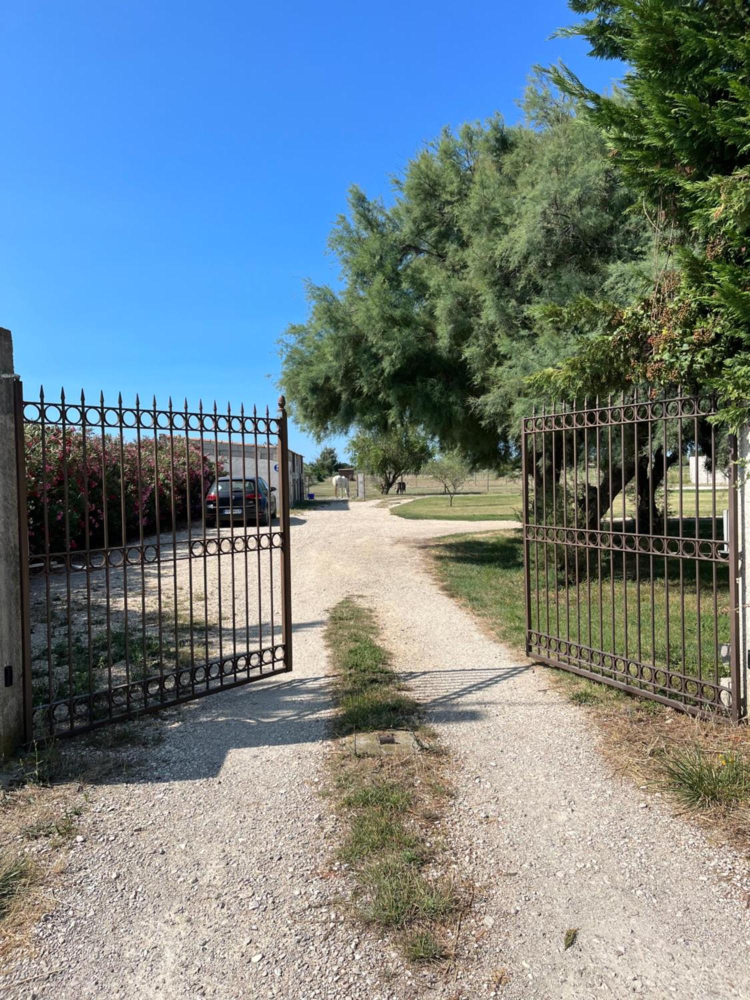 « La Parenthese » Gite En Camargue Arles Exterior photo