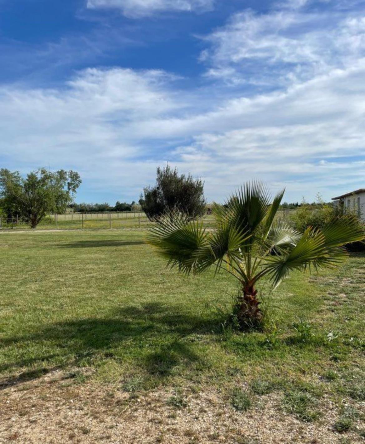 « La Parenthese » Gite En Camargue Arles Exterior photo